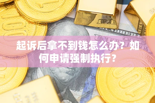 北京起诉后拿不到钱怎么办？如何申请强制执行？