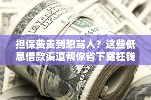 北京担保费贵到想骂人？这些低息借款渠道帮你省下冤枉钱