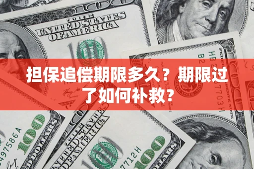 北京担保追偿期限多久？期限过了如何补救？
